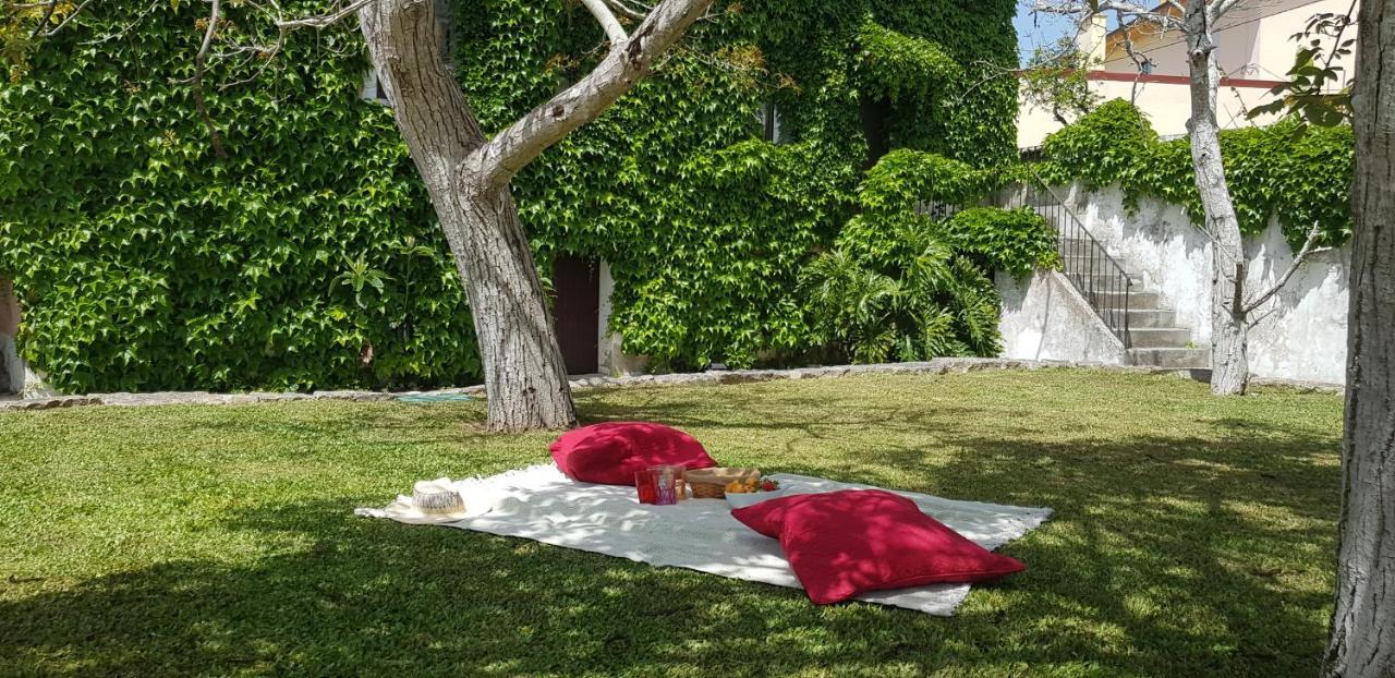 הוילה פיגואיירה דה פוז Casa Agricola Do Limonete מראה חיצוני תמונה